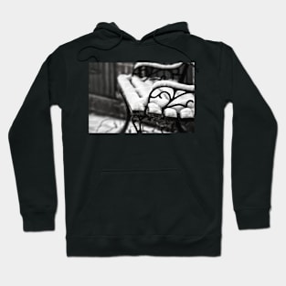 Bench in Snow Hoodie